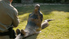 3039524-poster-p-1-eaten-alive-snake-contacts.jpg