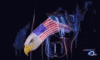 1000001357.gif