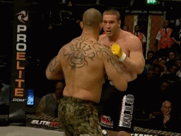 SHAMrock2.gif