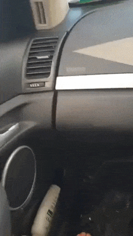 giphy-downsized-large.gif