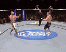 tumblr_mb3dobcq4V1ry1rm7o1_r1_250.gif