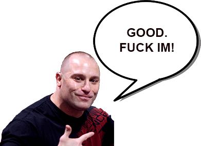 srICDr1.jpg
