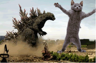 giphy.gif
