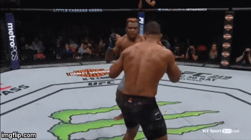 zpn019r.gif