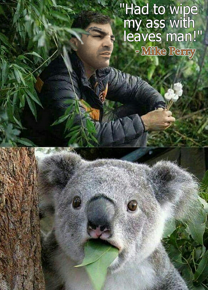 OqC6stfb_o.jpg