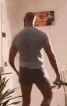andrew-tate-tristan-tate.gif