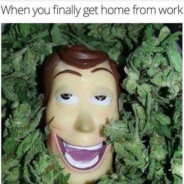 9HOVMmF.jpg