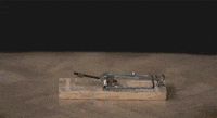 200w.gif